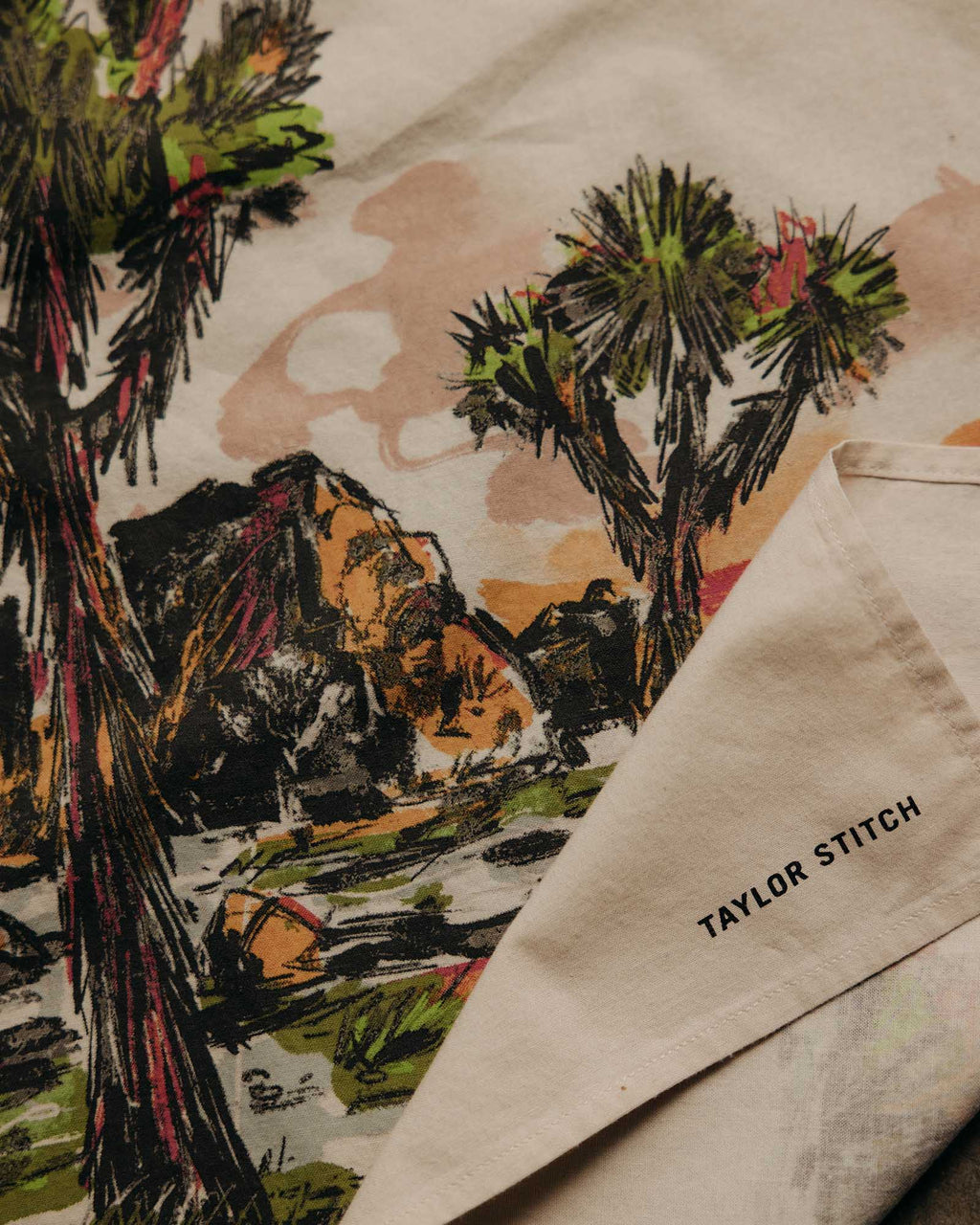 The Bandana in Desert Sunset