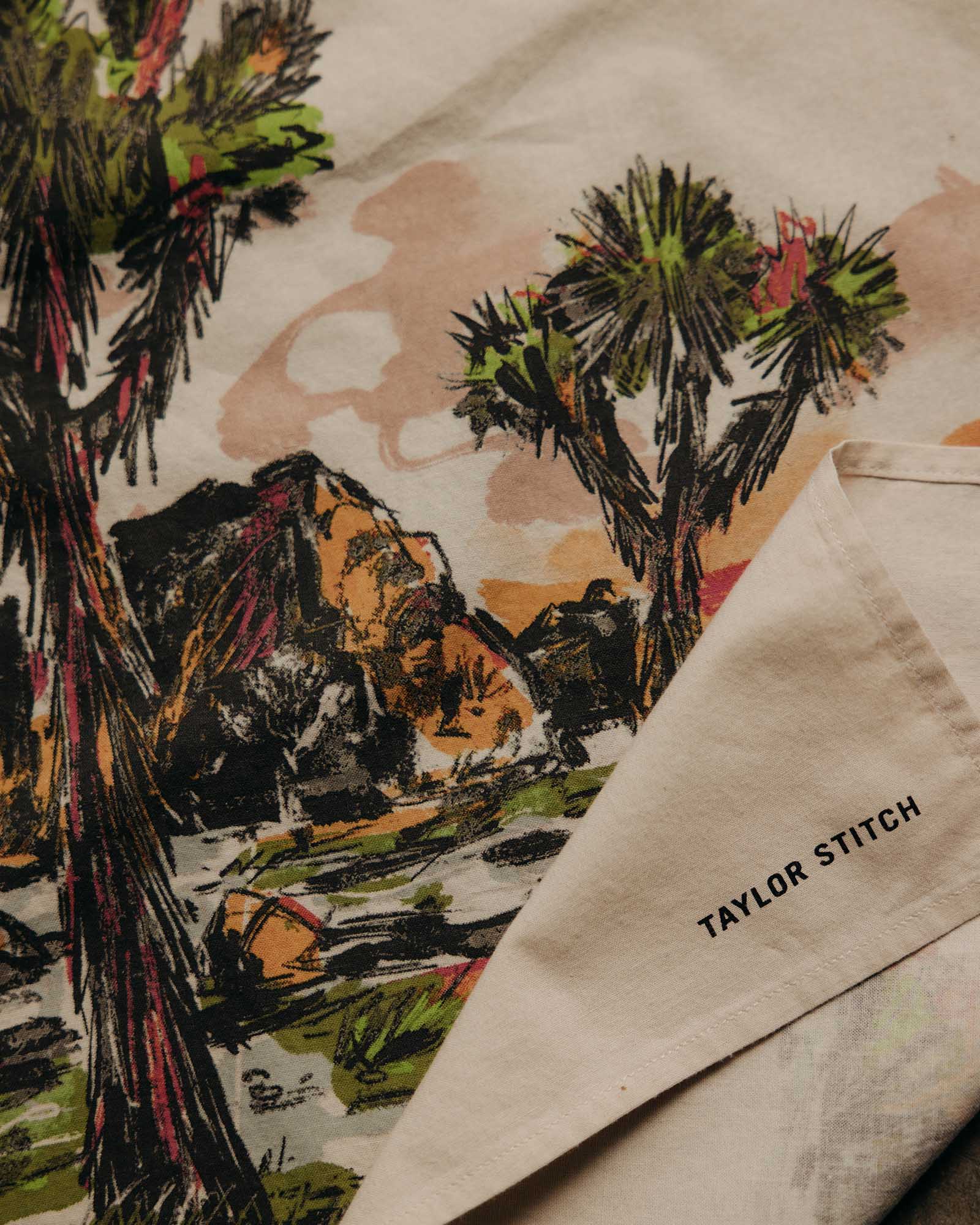 The Bandana in Desert Sunset